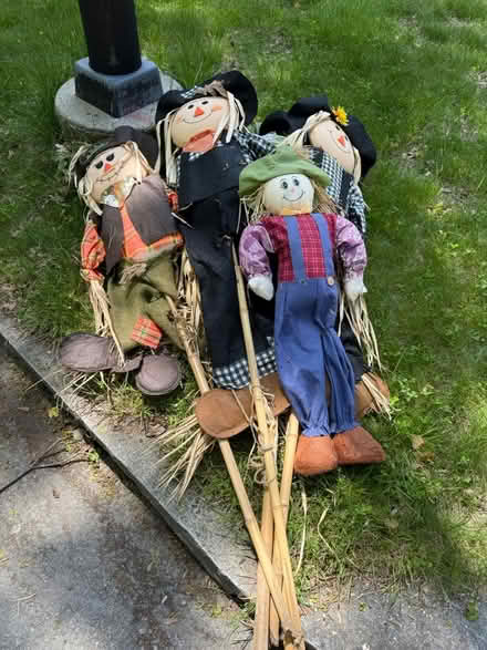 Photo of Scarecrows (01602) #1