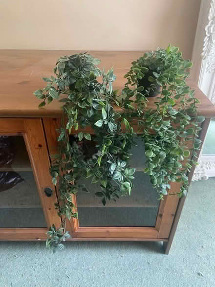 Photo of free Two fake plants hanging (Bear Flat BA2) #2