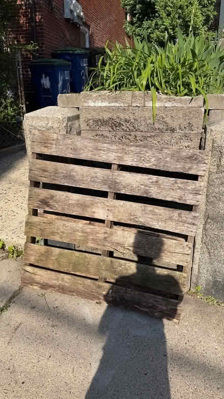 Photo of free Pallet for garden (East Somerville) #1