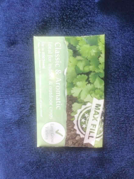 Photo of free Coriander seeds for planting (TN34 Halton (West Hill - Ore)) #1