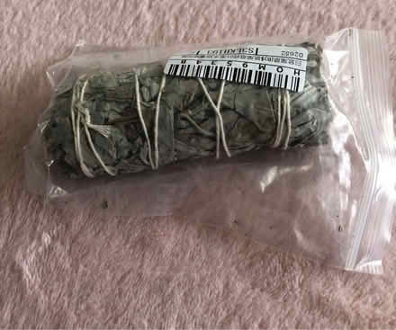 Photo of free White sage (gu12) #1
