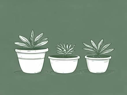 Photo of Planters (Renfrewshire PA2) #1