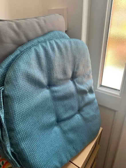 Photo of free seat pads (Egremont CH44) #3