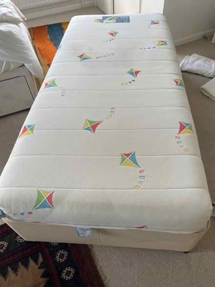 Photo of free Single Bed (Gosfield CO9) #1