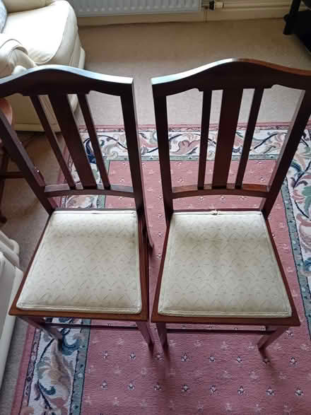 Photo of free 2 mahogany chairs (Garstang PR3) #1