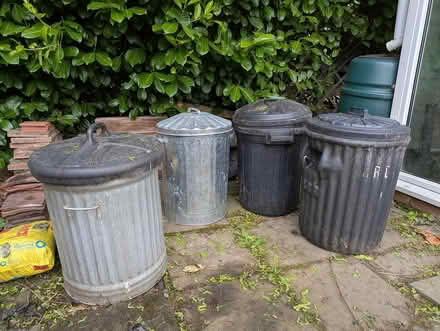 Photo of free Garden waste bins (Kingsland) #1
