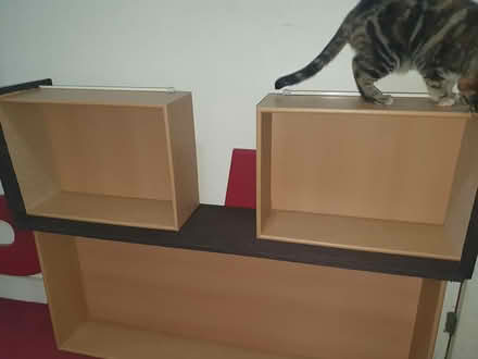 Photo of free Double divan bed base (New Addington) #4