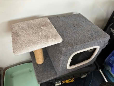 Photo of free Cat house with scratching post & litter tray (Wraysbury TW19) #1