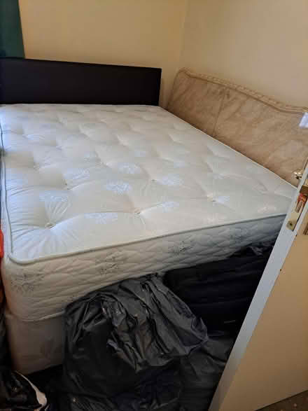 Photo of free Double Divan Bed with 4 Draws (Crofton Park, Brockley) #1