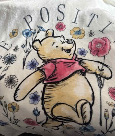 Photo of free Winnie the Pooh blanket (Pleasance EH8) #1