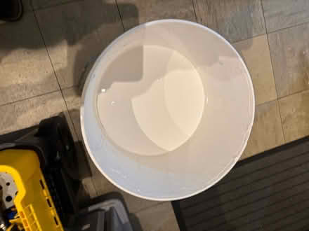 Photo of free White Emulsion Paint (Wraysbury TW19) #2