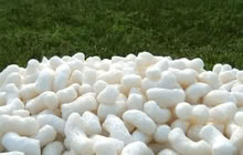 Photo of free Biodegradable Packing Peanuts (Sunnyvale CA) #1
