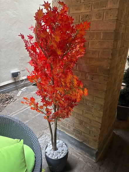 Photo of free Red artificial tree (SE1 2DF) #2