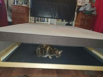 Photo of free Double divan bed base (New Addington) #1