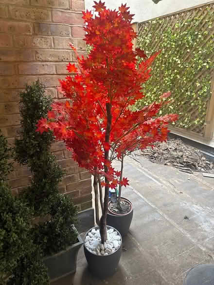 Photo of free Red artificial tree (SE1 2DF) #1
