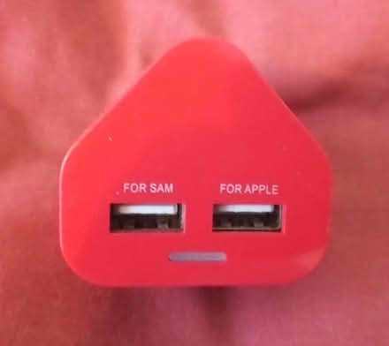 Photo of free 13a plug - Apple/Samsung charger (Winterbourne, Lewes. BN7) #1