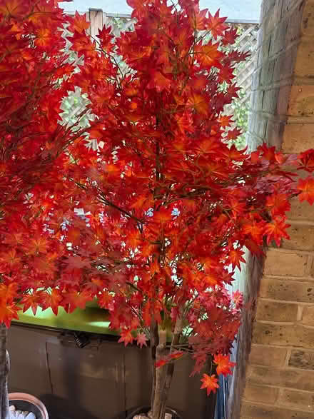 Photo of free Red artificial tree (SE1 2DF) #3