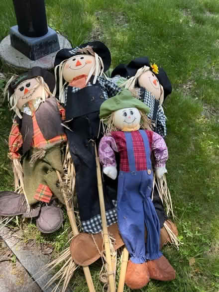 Photo of Scarecrows (01602) #2