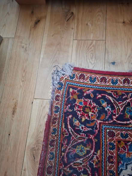Photo of free Rug (Mill Hill NW7) #2