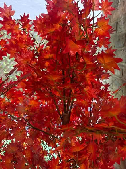 Photo of free Red artificial tree (SE1 2DF) #4