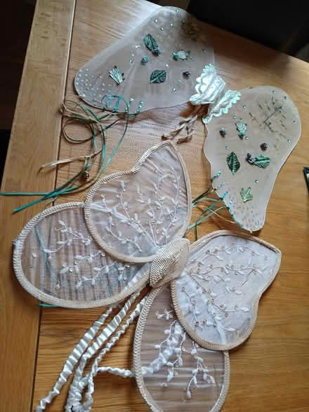 Photo of free Beautiful dress up wings (Parkhead EH11) #1