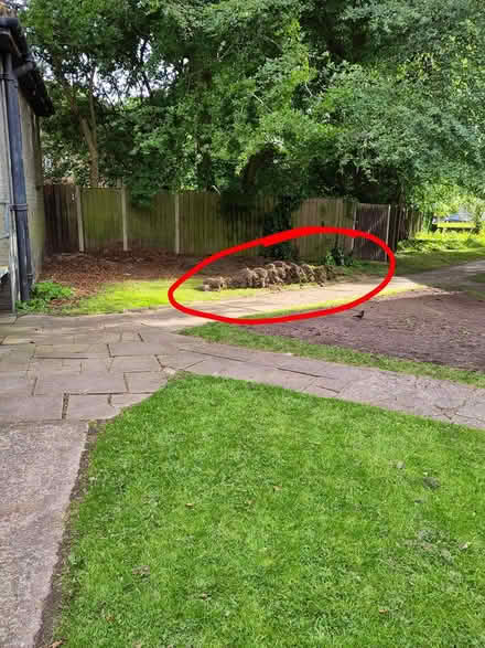 Photo of free Lifted turf (Allerton L19) #1