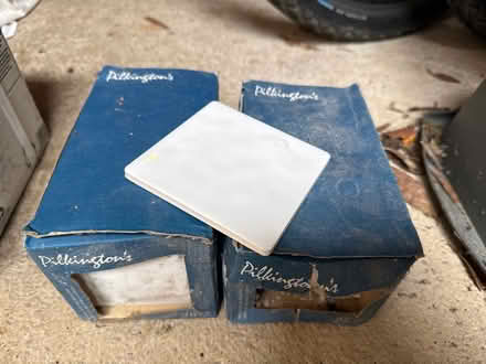 Photo of free White ceramic tiles (Kingsteignton TQ12) #1