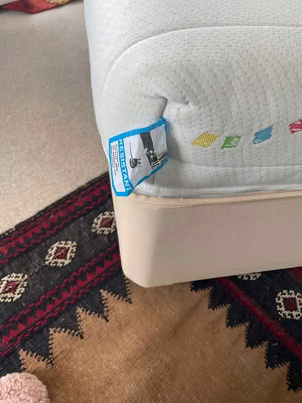Photo of free Single Bed (Gosfield CO9) #2