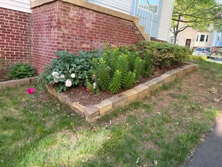 Photo of free concrete blocks for garden beds (Alexandria) #1