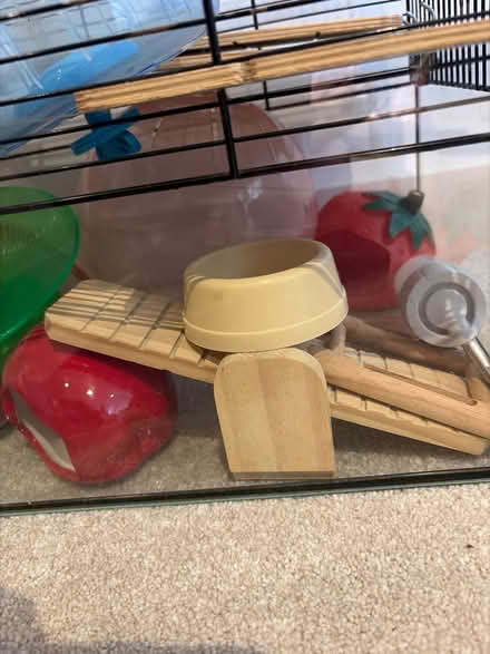 Photo of free Small Animal Cage And Accessories (Goodnestone ME13) #2