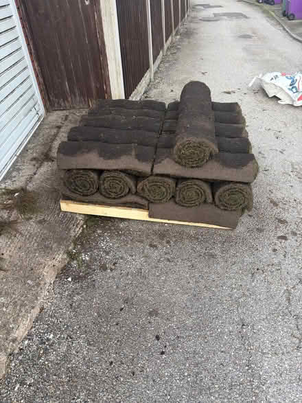Photo of free Rolls of turf (Walton on the Hill L9) #1