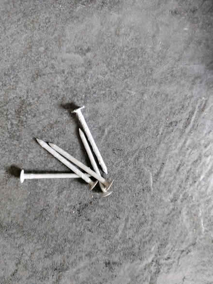 Photo of free Galvanized Nails (California DE22) #2