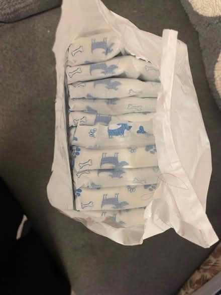Photo of free Nappies for a small male dog (Musselburgh) #2