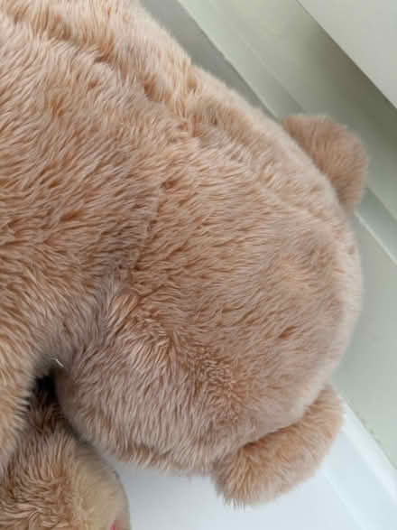 Photo of free Very large soft plush teddy bear (1075 Valencia Avenue) #4