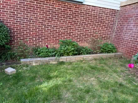 Photo of free concrete blocks for garden beds (Alexandria) #4