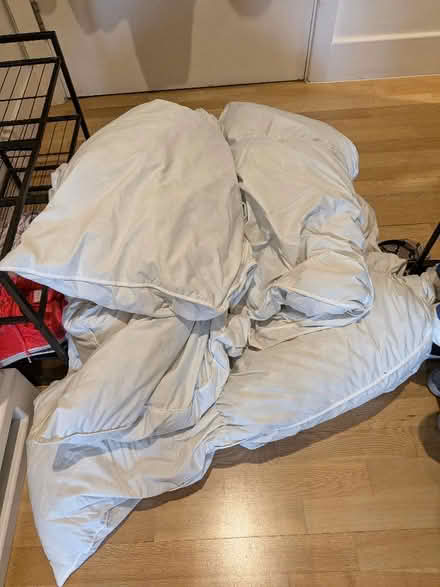 Photo of free Duvet (Bingfield Park N1) #1