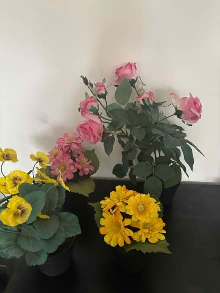 Photo of free Fake flowers (Bexleyheath DA7) #1