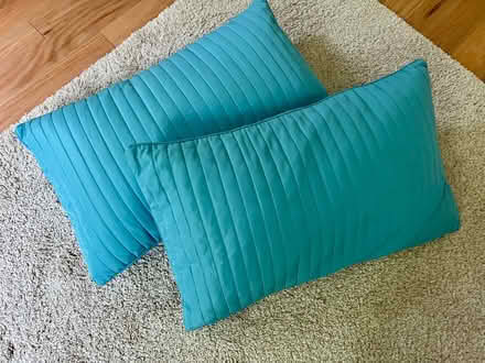 Photo of free Decorative pillows (Columbia) #1