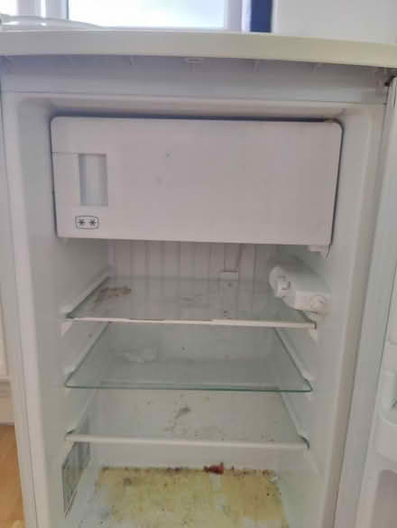 Photo of free Fridge 60cm wide under counter. (Fishponds BS16) #4