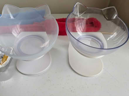 Photo of free Cat items various (Coombe Bissett SP5) #4