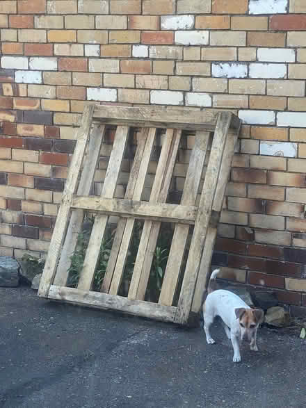Photo of free Wooden palette (Ponciau, LL14) #1
