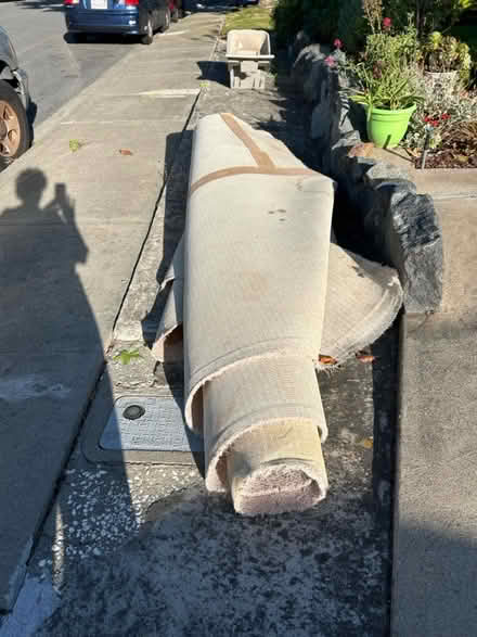 Photo of free Carpet (Fremont) #2