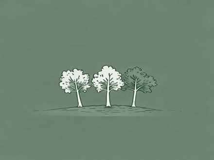 Photo of free Oak seedlings (Church Preen SY6) #1