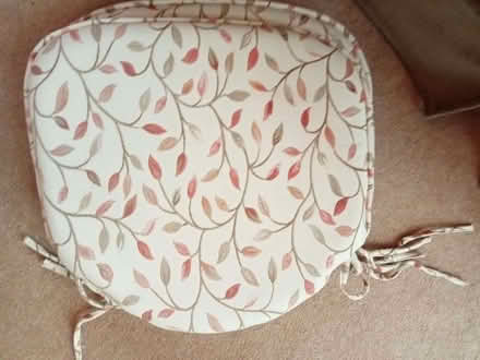 Photo of free Chair cushions with ties (Drayton PO6) #1
