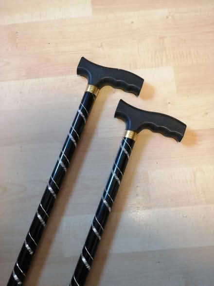 Photo of free Pair of walking sticks (Cam GL11) #2
