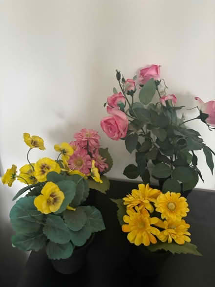 Photo of free Fake flowers (Bexleyheath DA7) #2