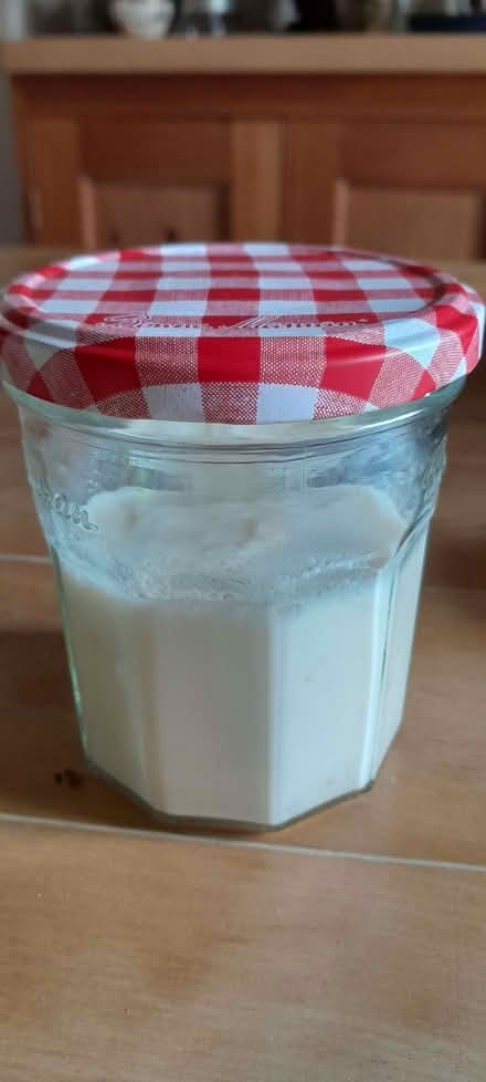 Photo of free Milk kefir grains (Kington HR5) #1