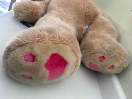 Photo of free Very large soft plush teddy bear (1075 Valencia Avenue) #3