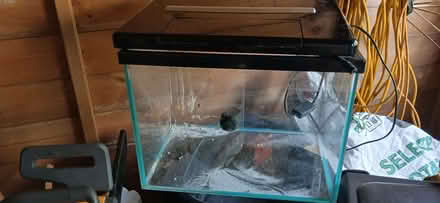 Photo of free Fish tank (Scottow NR10) #1