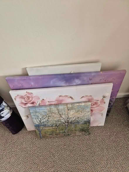 Photo of free Canvas pictures (Drayton PO6) #1